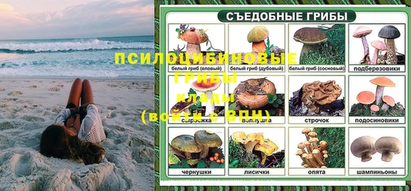 прущие крисы Алексин