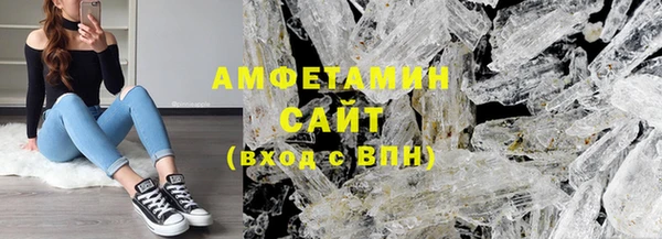 индика Козельск